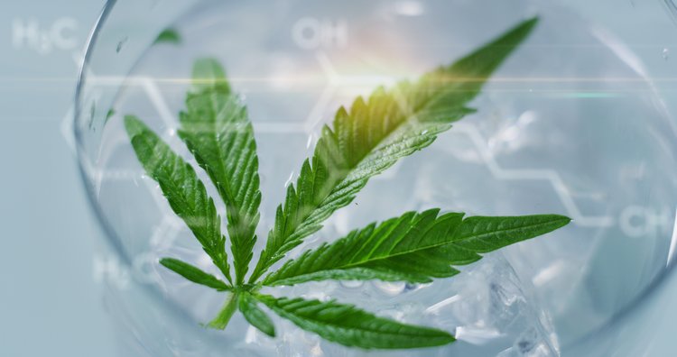 CBD-Sports-Drink-Bellevue-WA